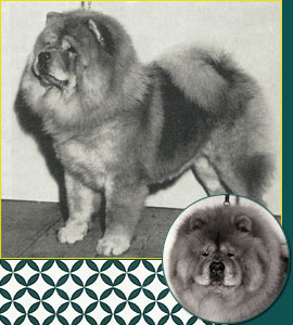 Chow Chow Breed Council